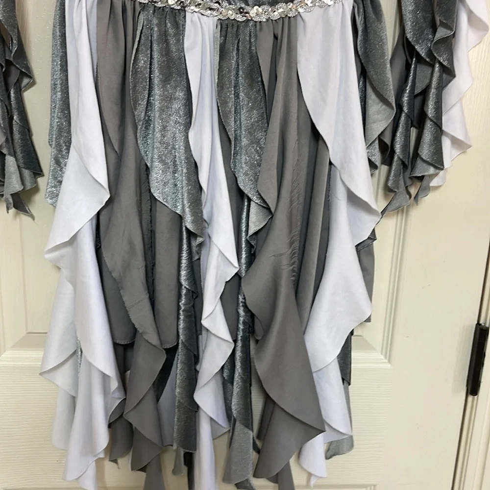 Costume. Girls size medium. See pictures! Used condition!